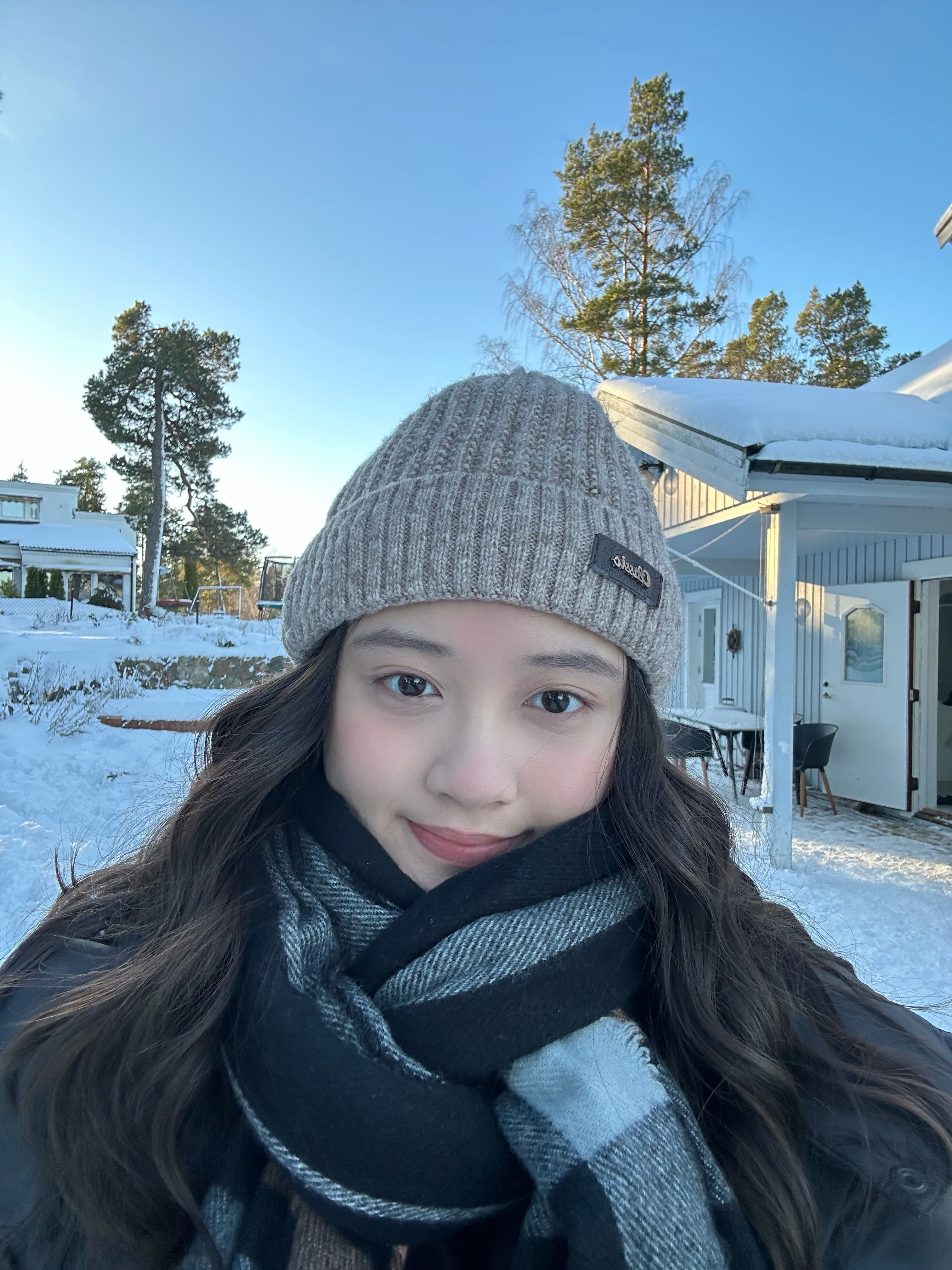 Zheng Yi Lee