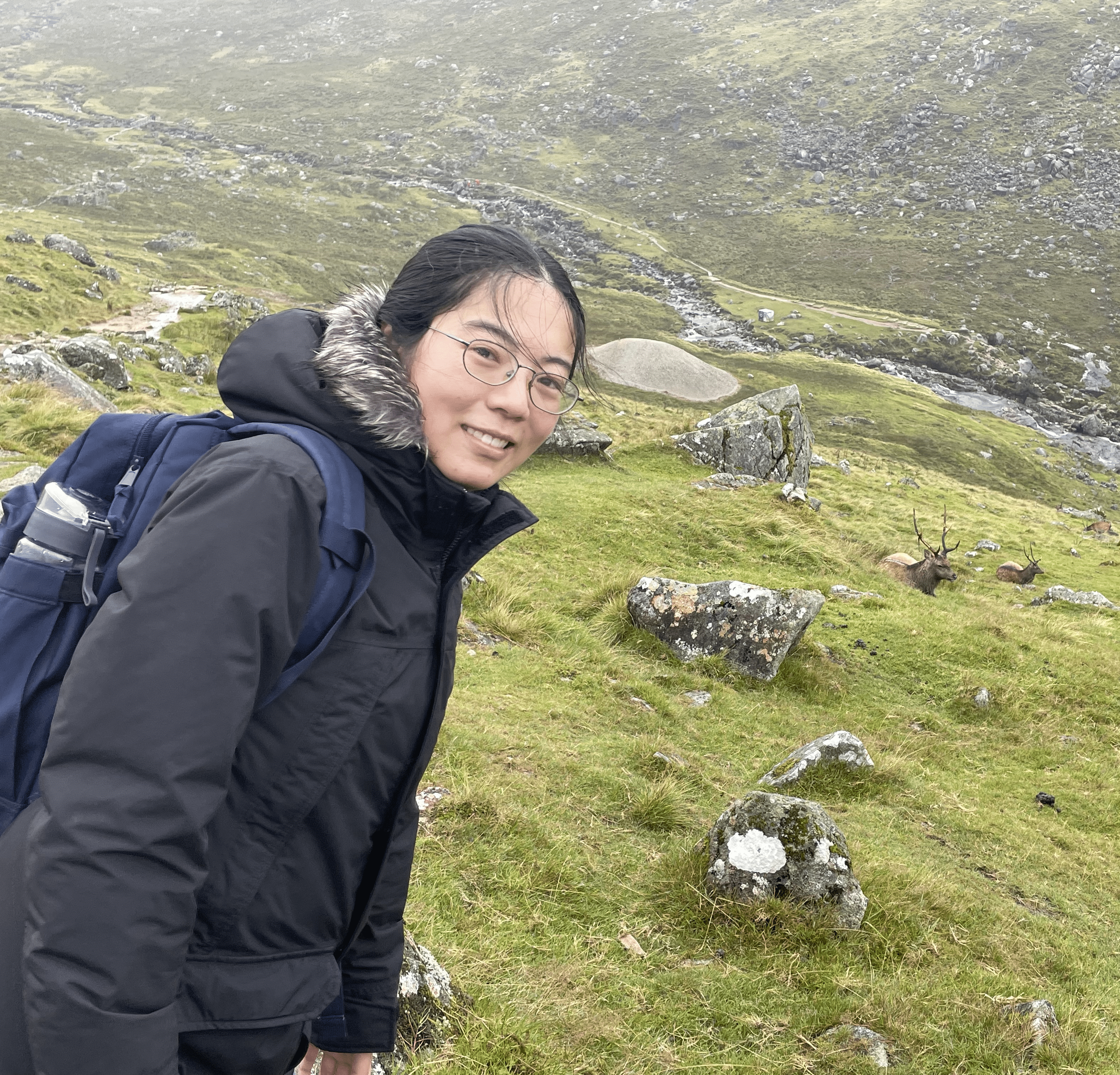 Yujing Zhang