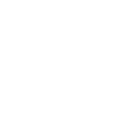 InstaIcon